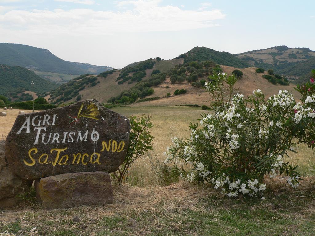 Agriturismo Sa Tanca Noa Tergu Eksteriør bilde