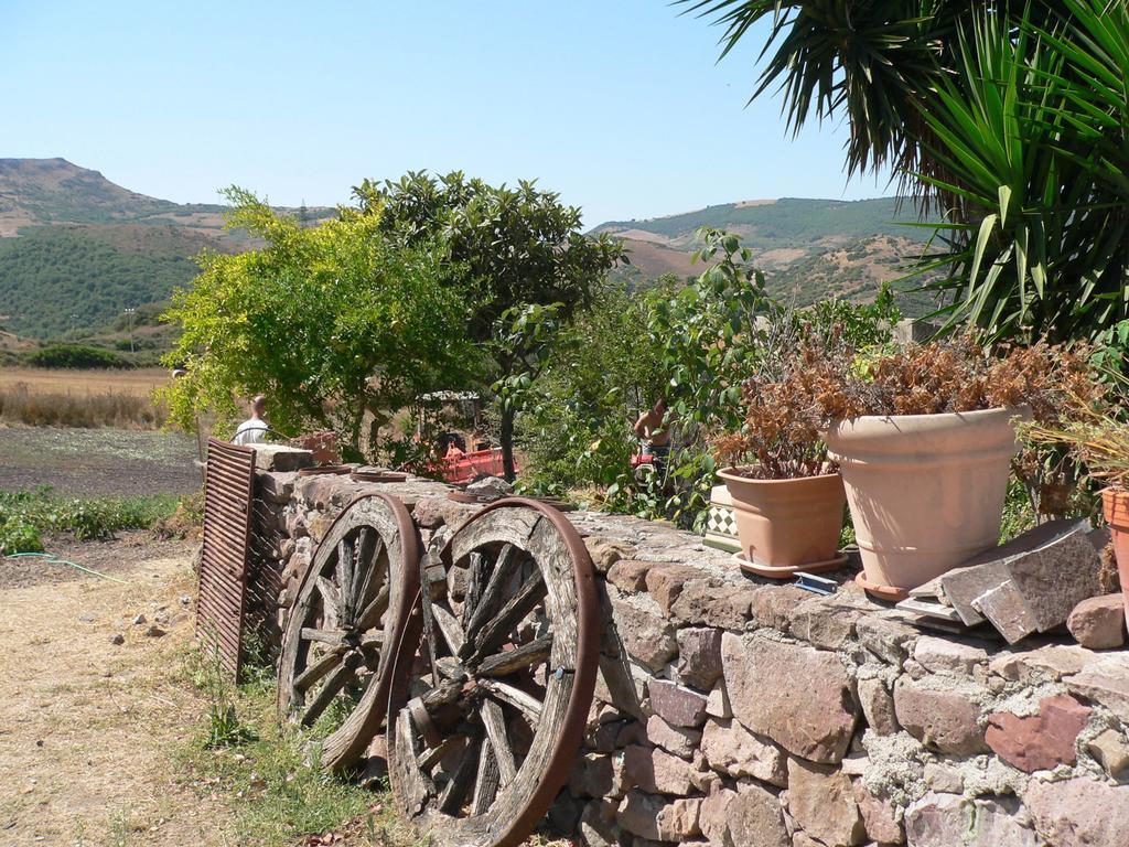 Agriturismo Sa Tanca Noa Tergu Eksteriør bilde