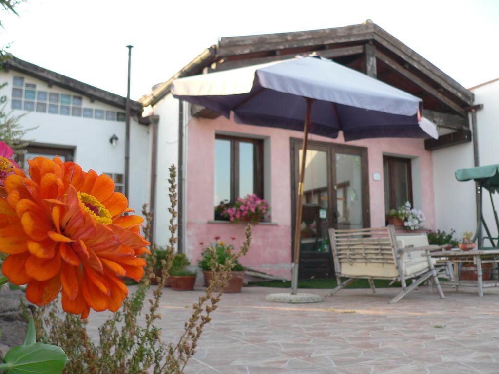 Agriturismo Sa Tanca Noa Tergu Eksteriør bilde