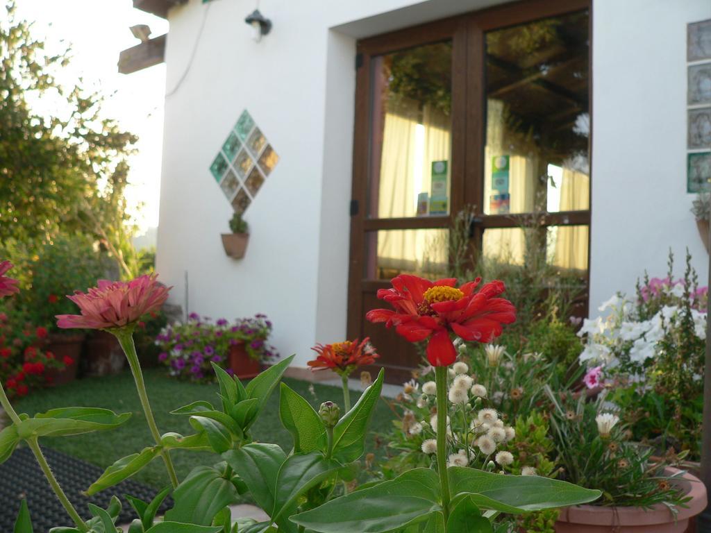 Agriturismo Sa Tanca Noa Tergu Eksteriør bilde