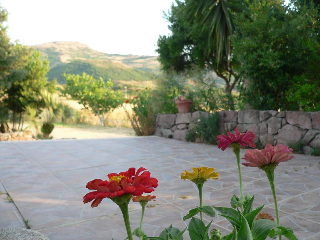 Agriturismo Sa Tanca Noa Tergu Eksteriør bilde