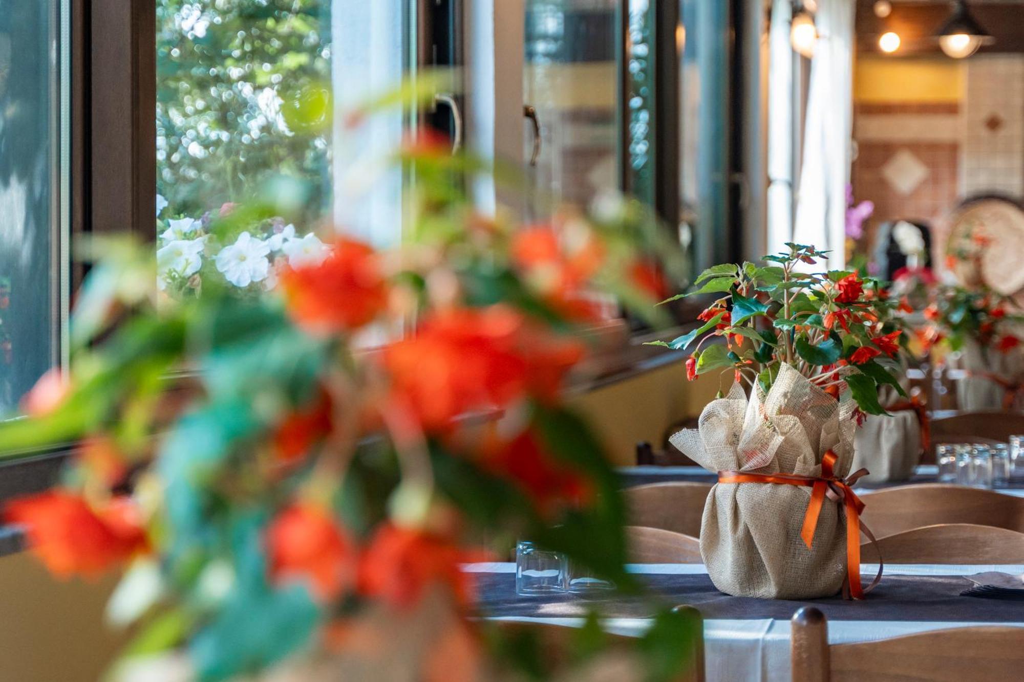 Agriturismo Sa Tanca Noa Tergu Eksteriør bilde