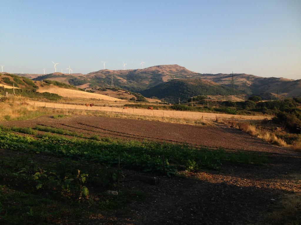 Agriturismo Sa Tanca Noa Tergu Eksteriør bilde