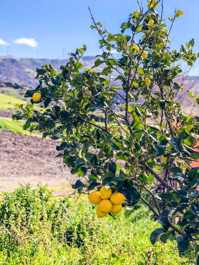 Agriturismo Sa Tanca Noa Tergu Eksteriør bilde