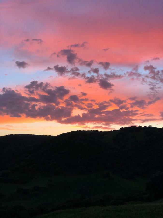 Agriturismo Sa Tanca Noa Tergu Eksteriør bilde