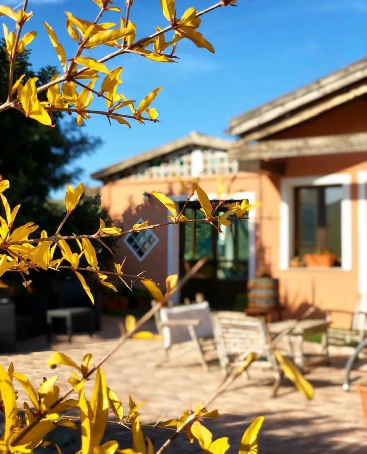 Agriturismo Sa Tanca Noa Tergu Eksteriør bilde