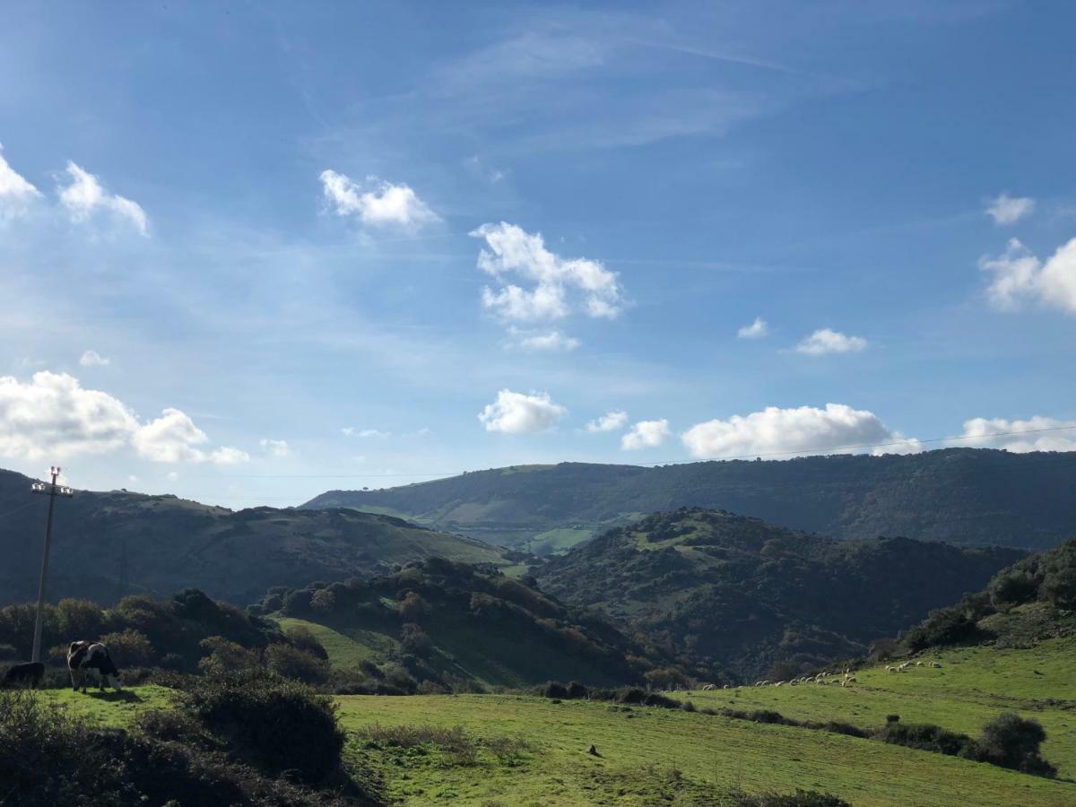 Agriturismo Sa Tanca Noa Tergu Eksteriør bilde