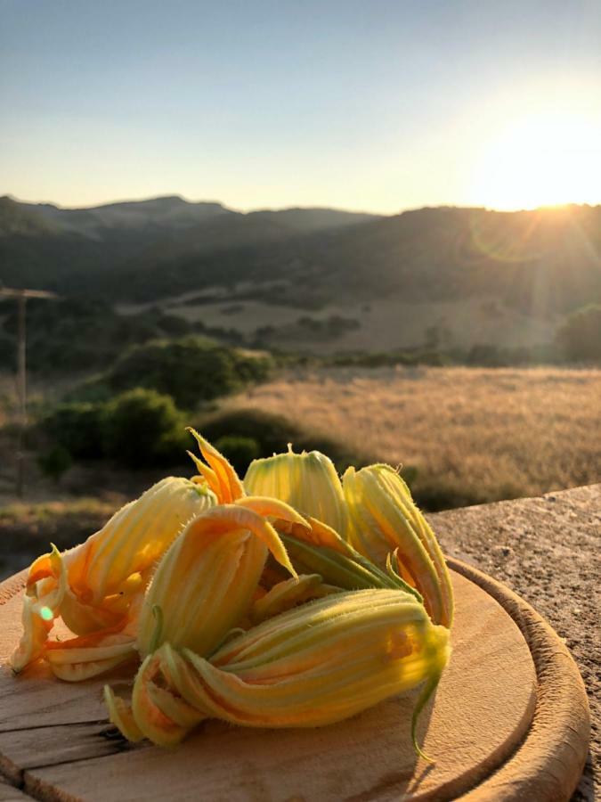Agriturismo Sa Tanca Noa Tergu Eksteriør bilde